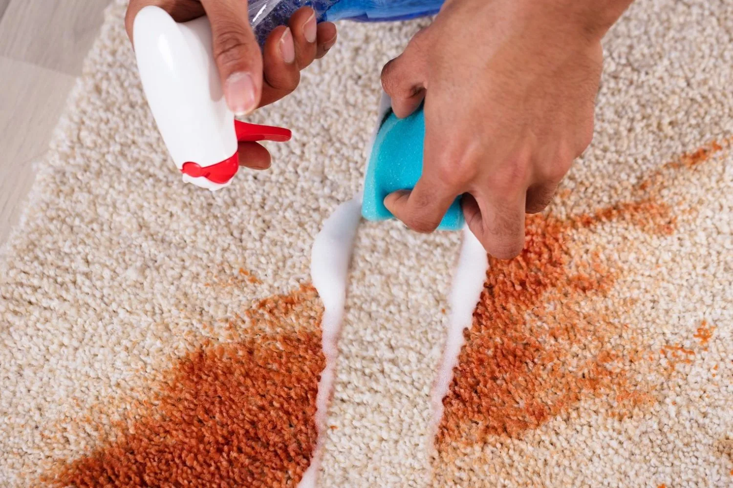 Future Paint Spills on Carpet