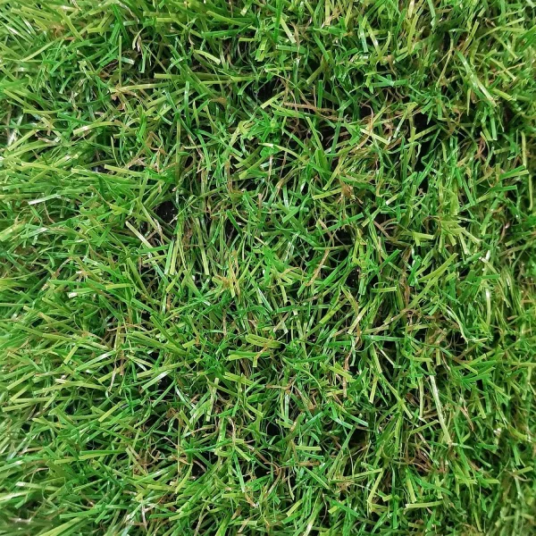 Colorful Grass Dubai