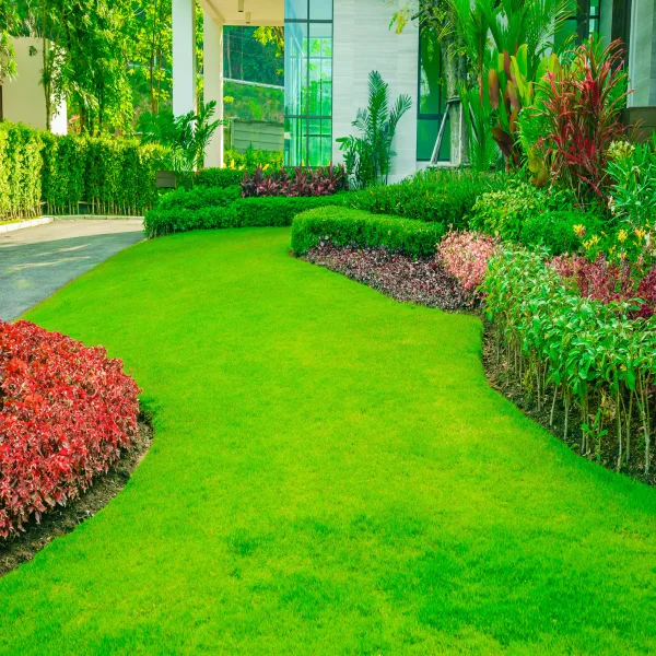 Landscaping Grass Dubai