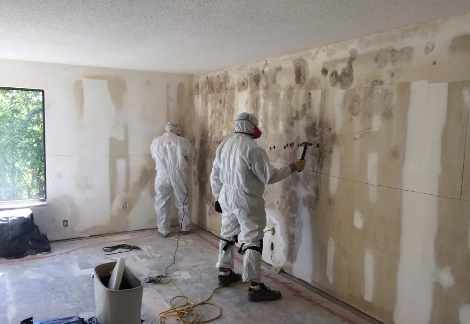 You Haven’t Repainted in Years
