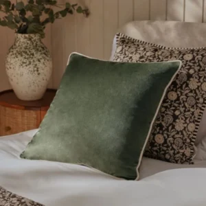 Velvet Cushions