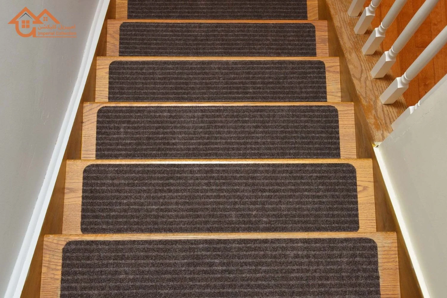 Focus on Carpet Pile Type