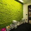 Artificial Grass Wall Designs