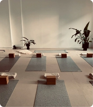 Professional Yoga Mats UAE