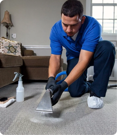 Home Carpet Cleaning